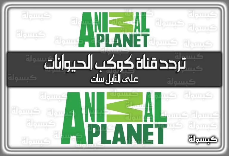 تردد قناة كوكب الحيوانات 2026 Animal Planet الجديد على نايل سات (تم التحديث)