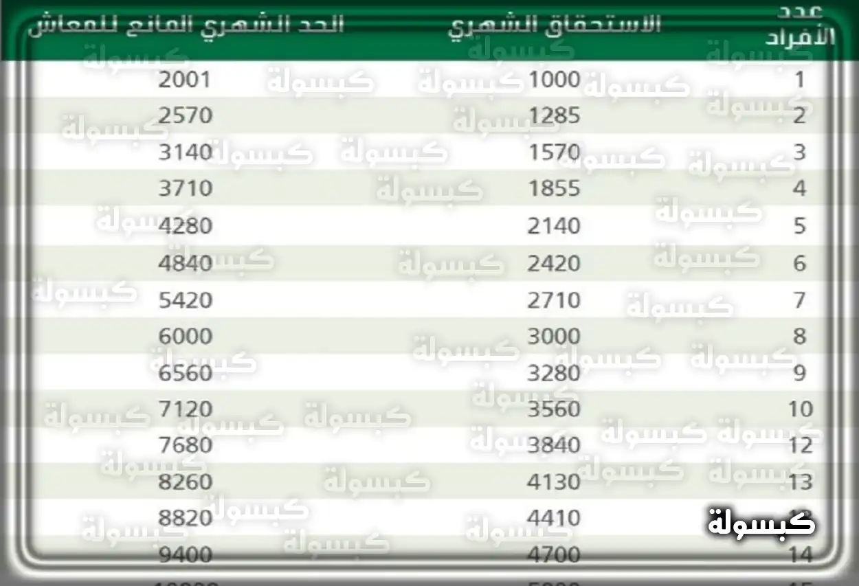 أهداف الضمان الاجتماعي المطور