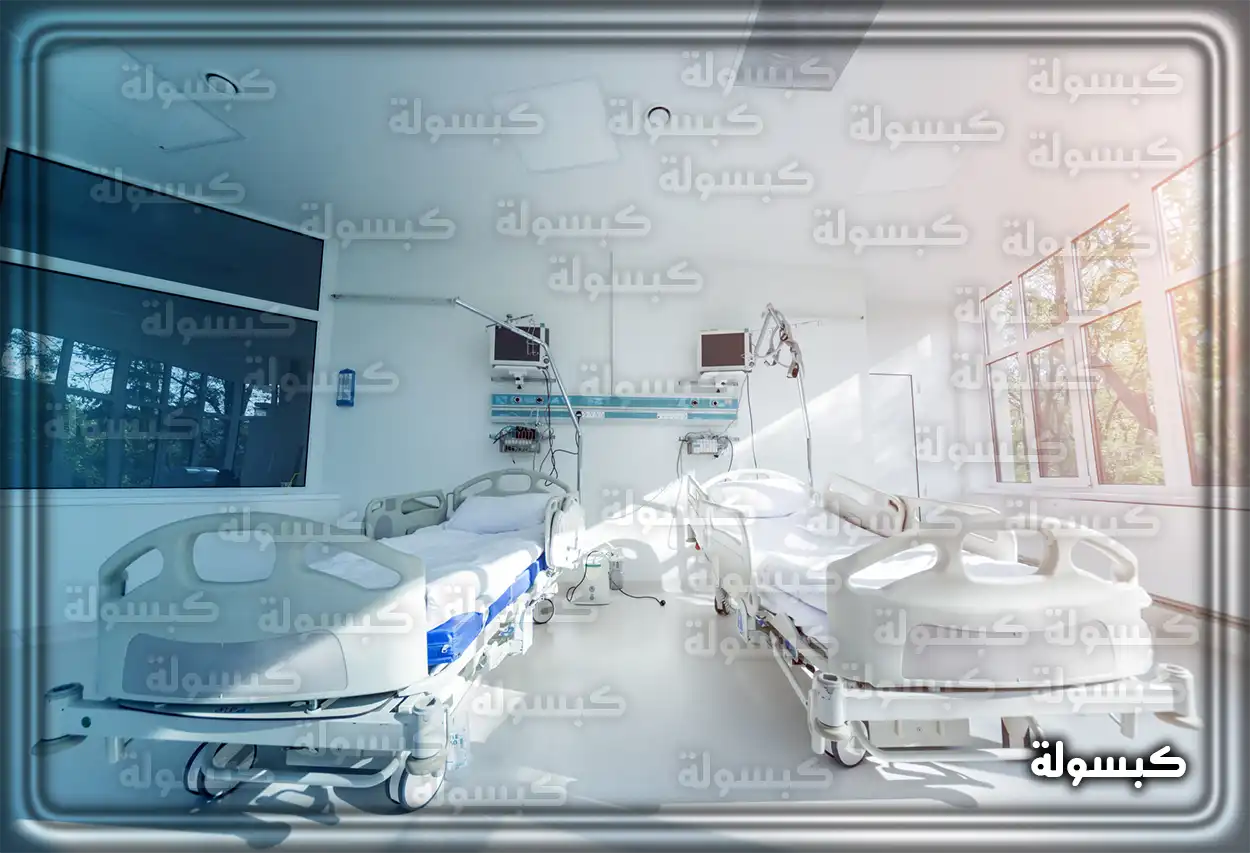 مجموعة من المستندات المطلوبة للتقديم على وظيفة