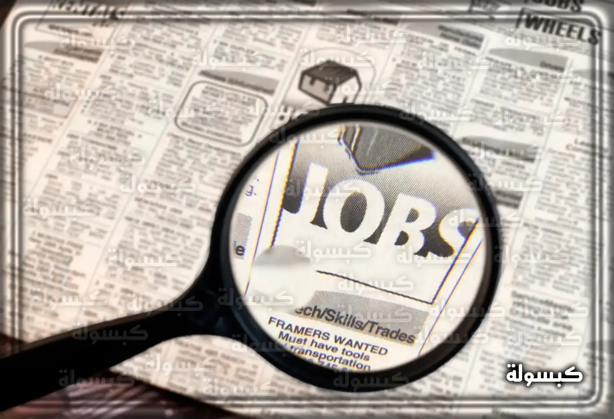 شرح خطوات التقديم على وظائف وزارة المالية للنساء