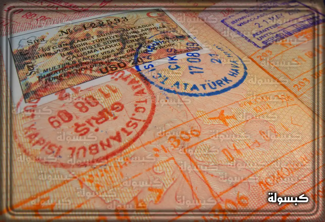 خطوات التقديم على فيزا تركيا الإلكترونية للمصريين في السعودية
