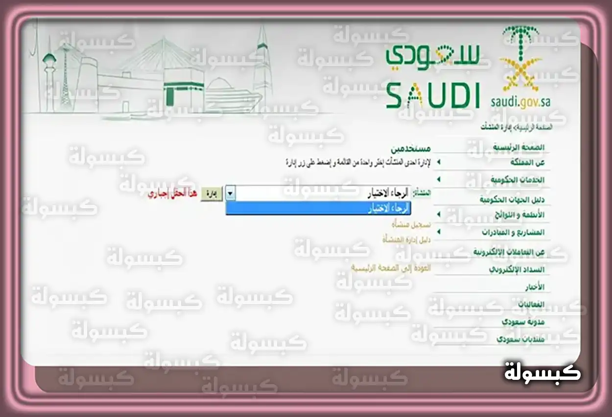 أبرز المهن القابلة للتعديل في المملكة