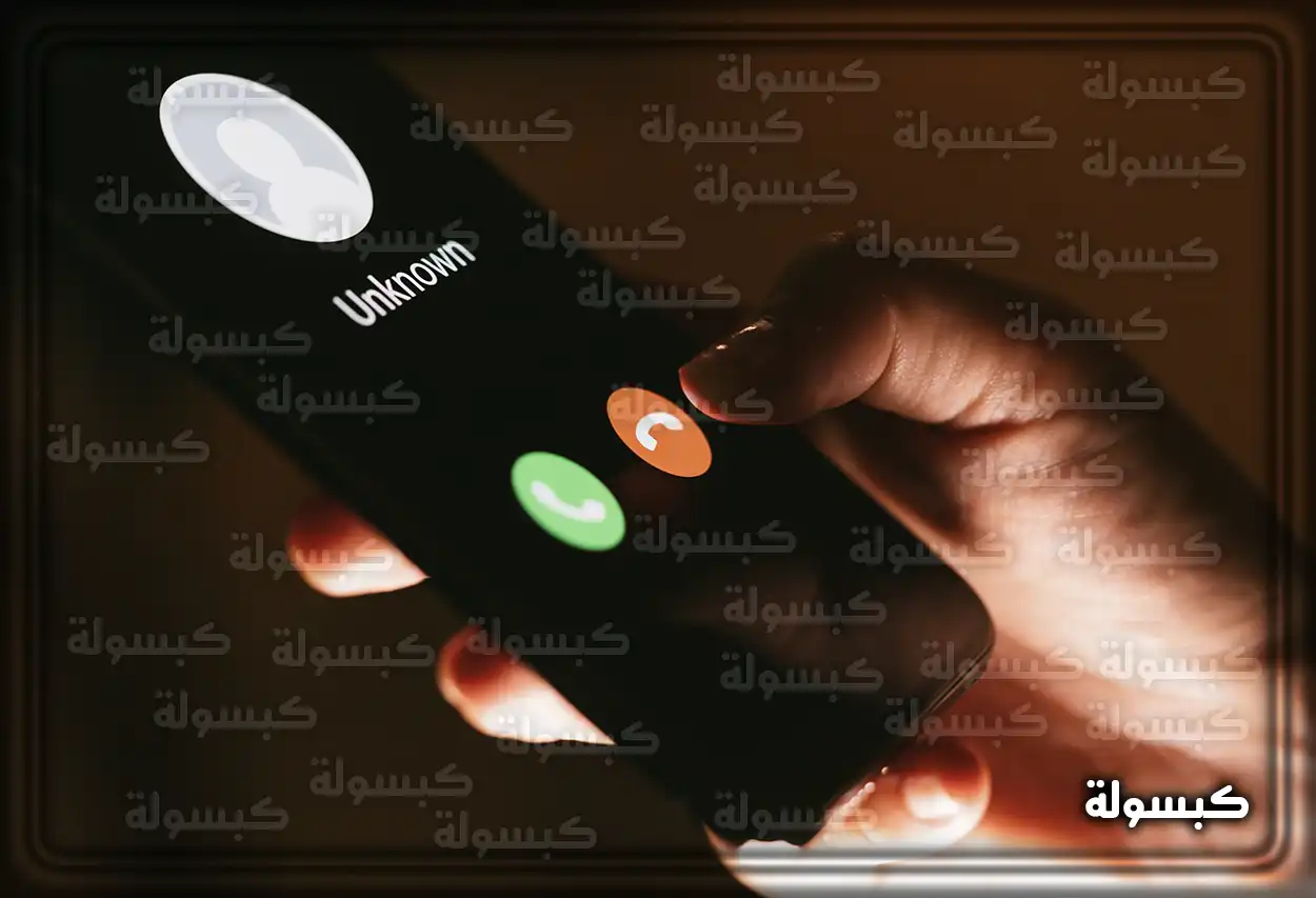 صفحة خدمة أرقامي على موقع هيئة الاتصالات