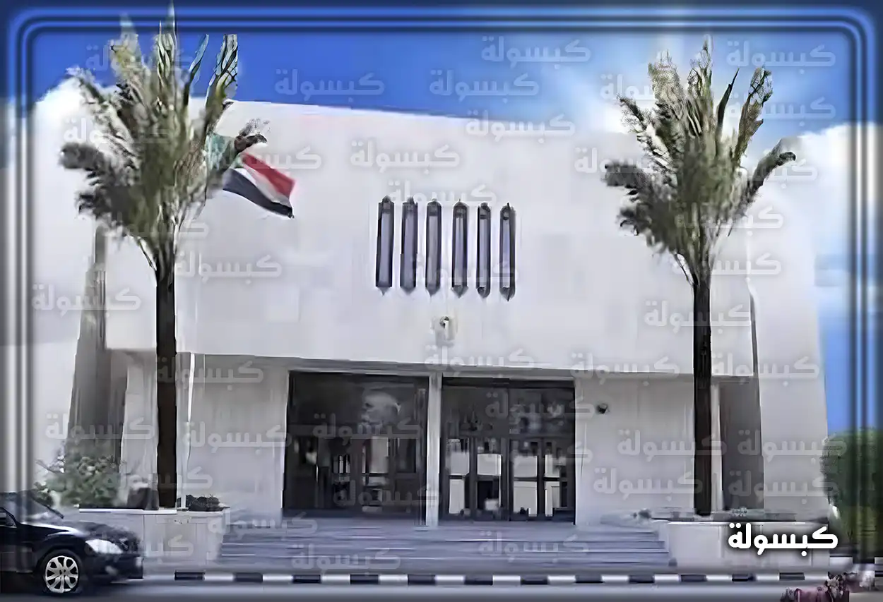 شاشة الخدمات الإلكترونية في موقع السفارة السودانية