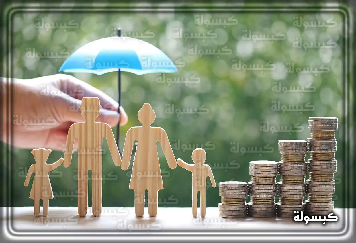 واجهة منصة الدعم والحماية الاجتماعية للتسجيل في الضمان