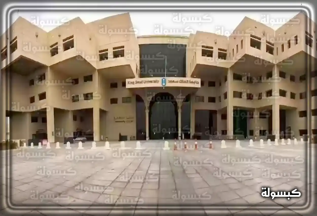 واجهة تطبيق MyKAU للاستعلام عن المعاملات