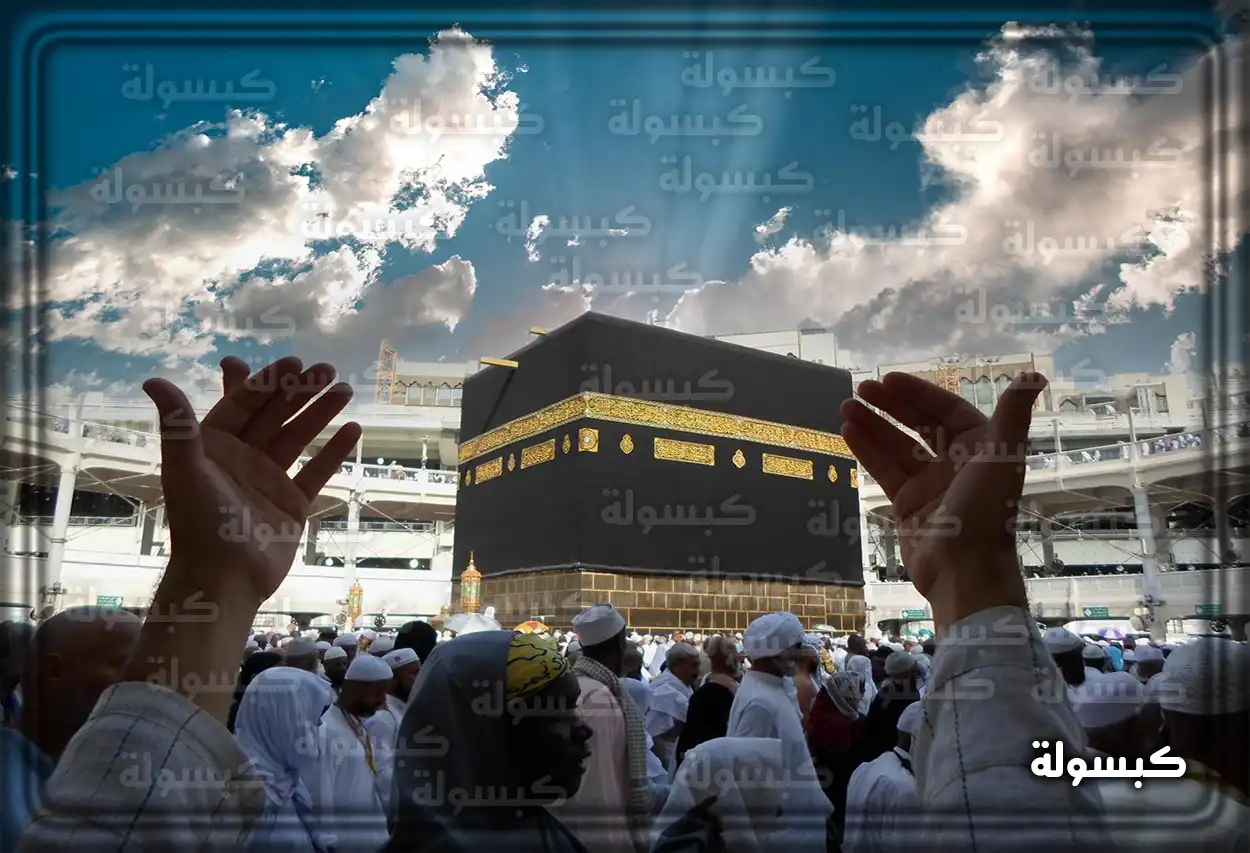 حجاج يستخدمون التطبيقات الذكية في المشاعر المقدسة