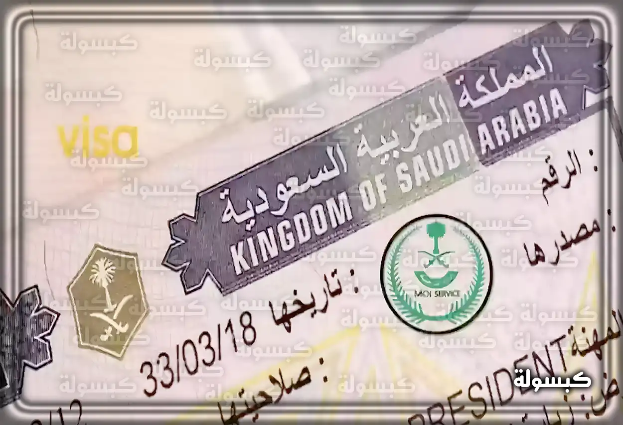 الاستعلام عن طلب تأشيرة عمل