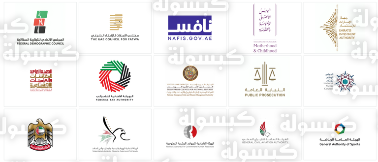 الهيئة الاتحادية للموارد البشرية الحكومية في دولة الإمارات