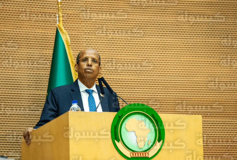 اجتماعات الاتحاد الأفريقي الدورة 48