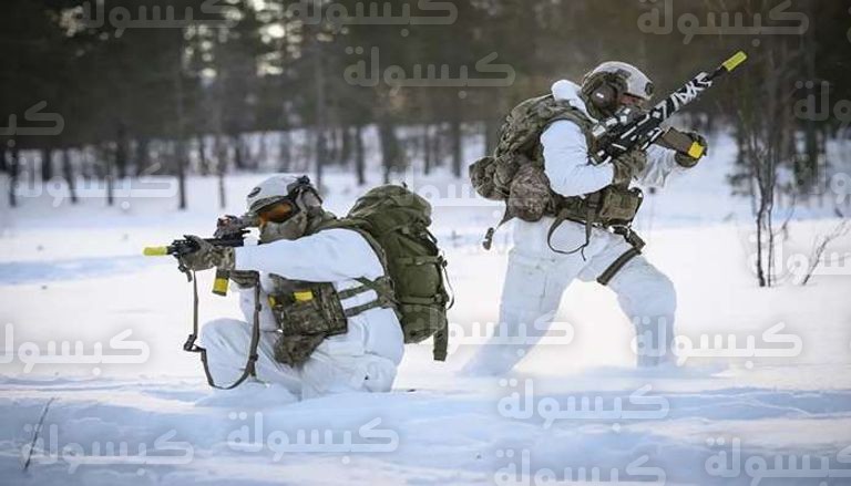 مركبات فايكنغ البريطانية في النرويج