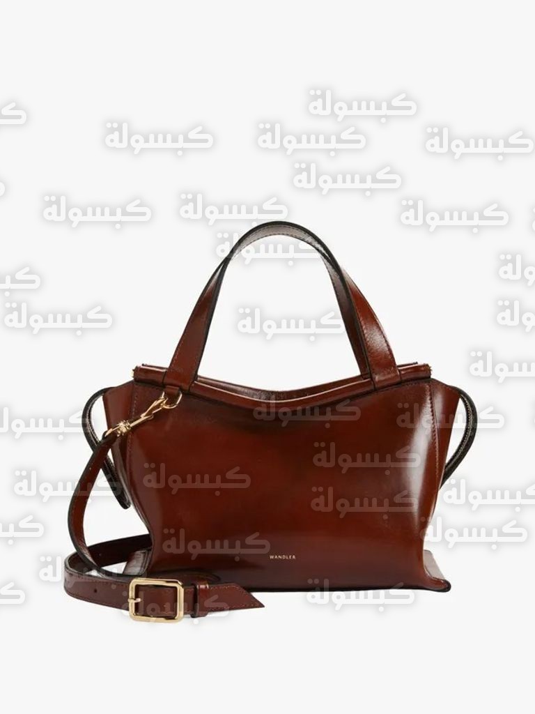 حقائب أيقونية لربيع 2026