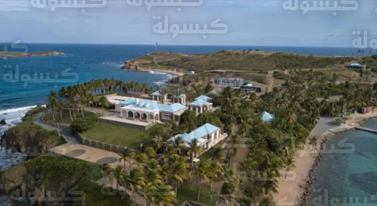 احتجاز منظم حفل &laquo;يوم في جزيرة إبستين&raquo; في مصر 2026