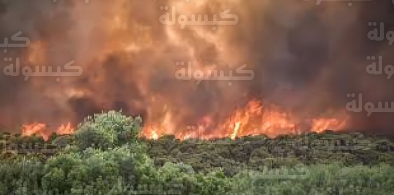 موجات حر وحرائق غابات في 2026