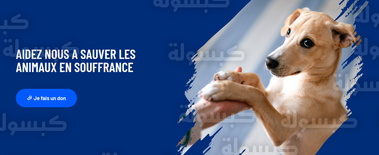 جانب من نشاط مؤسسة بريجيت باردو الميداني