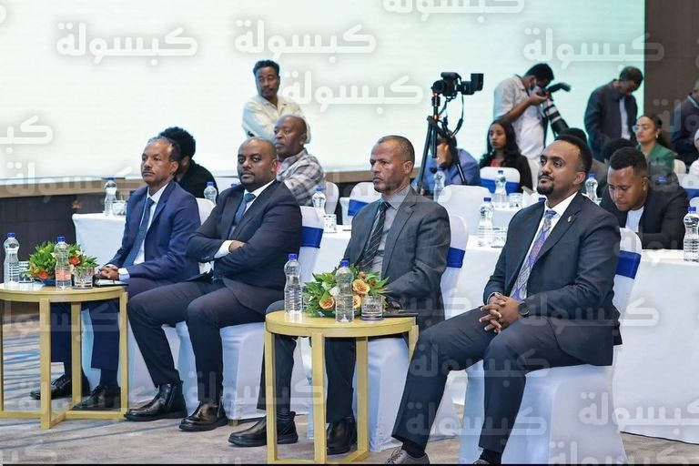 توسعة أسطول الخطوط الإثيوبية 2026