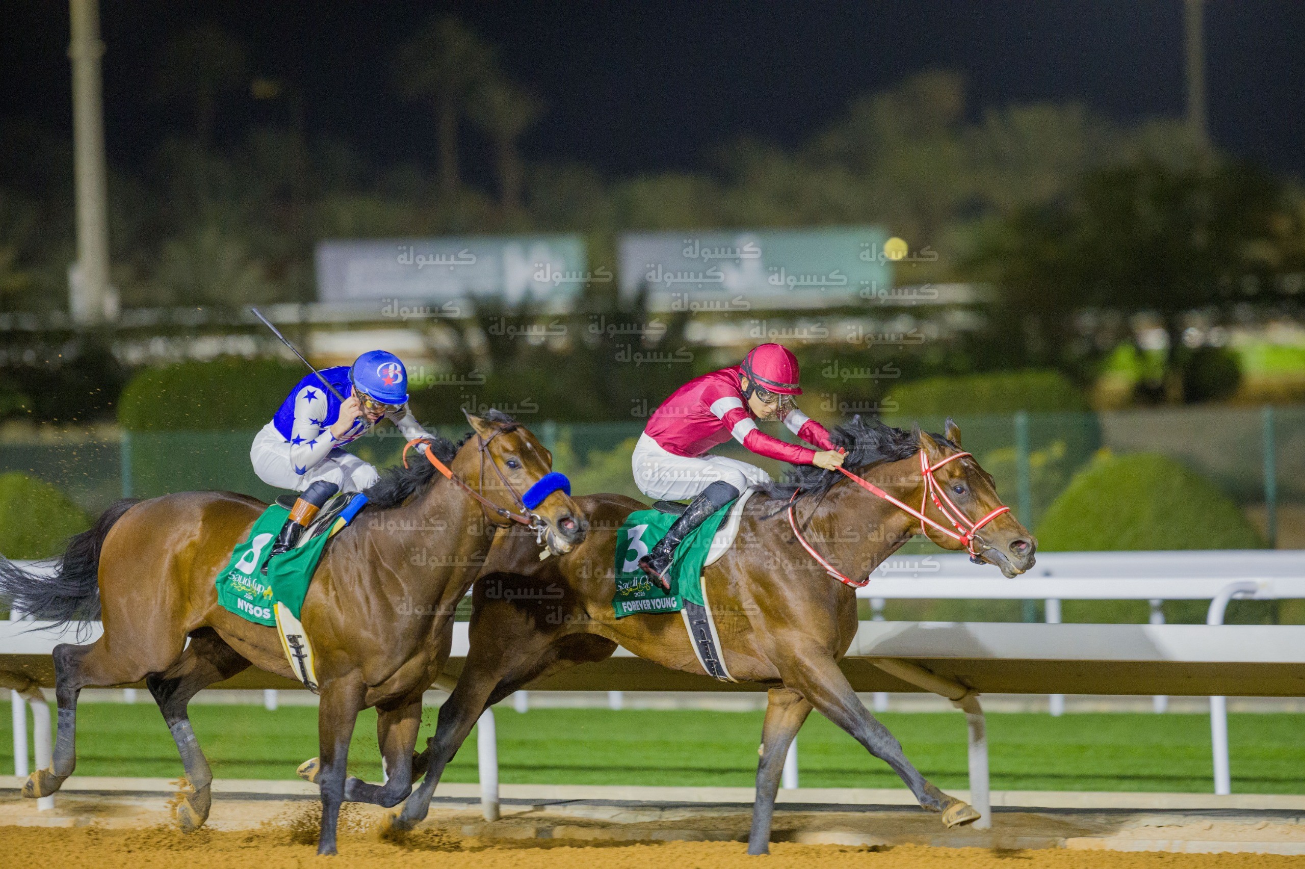 تتويج الجواد سنيس اند لوفيز بكأس البحر الأحمر 2026