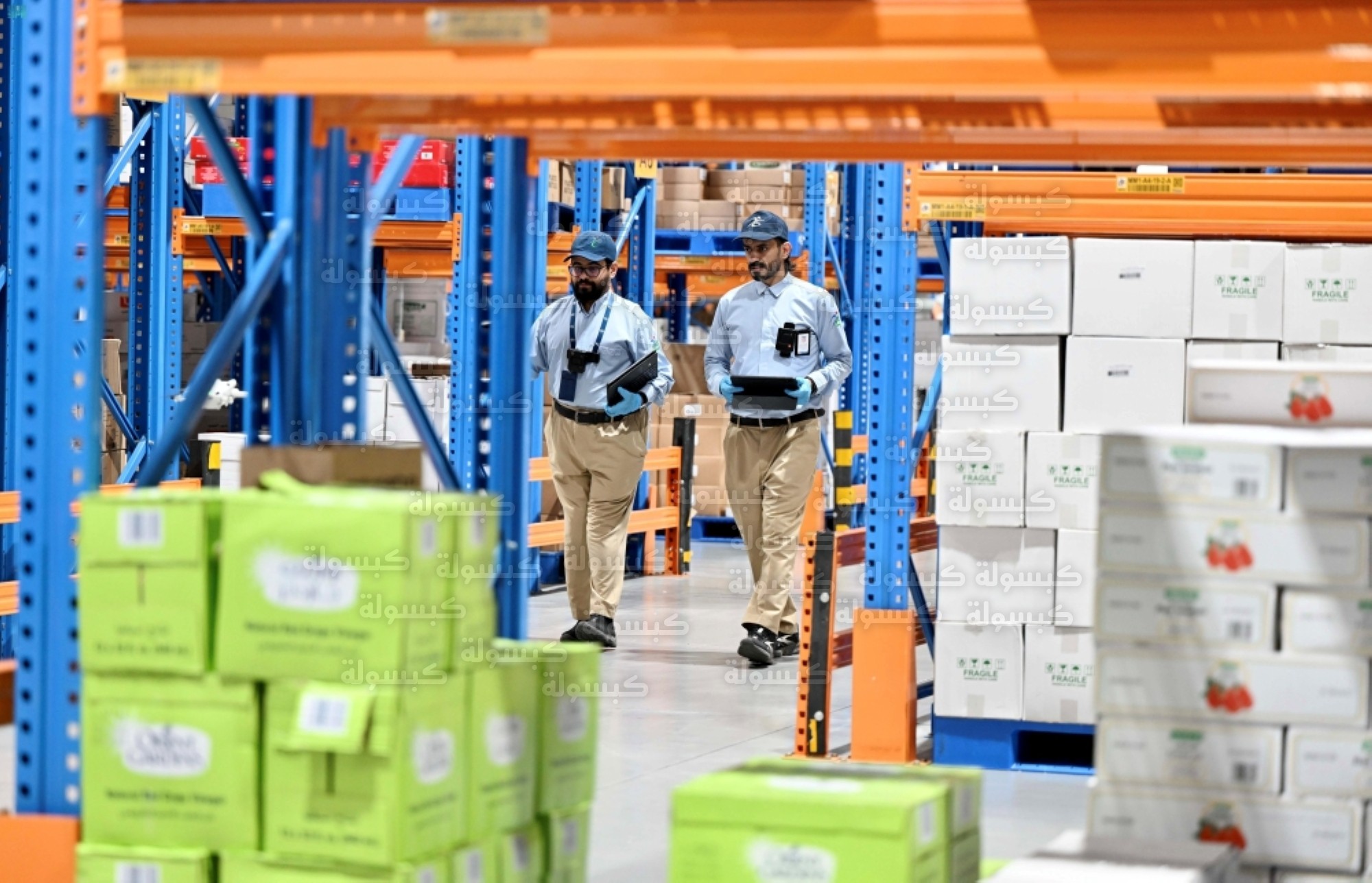 الهيئة العامة للغذاء والدواء - رقابة 2026