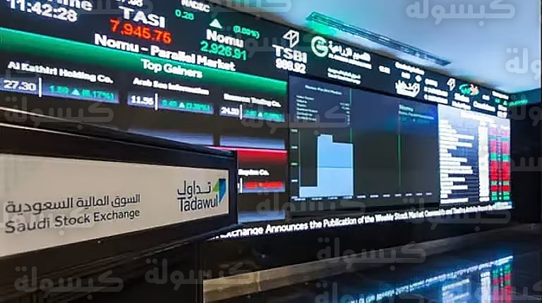 مؤشر الأسهم السعودية يلامس 11300 نقطة