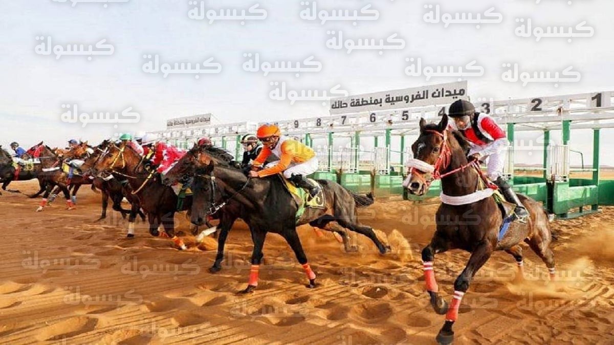 ميدان فروسية حائل 2026