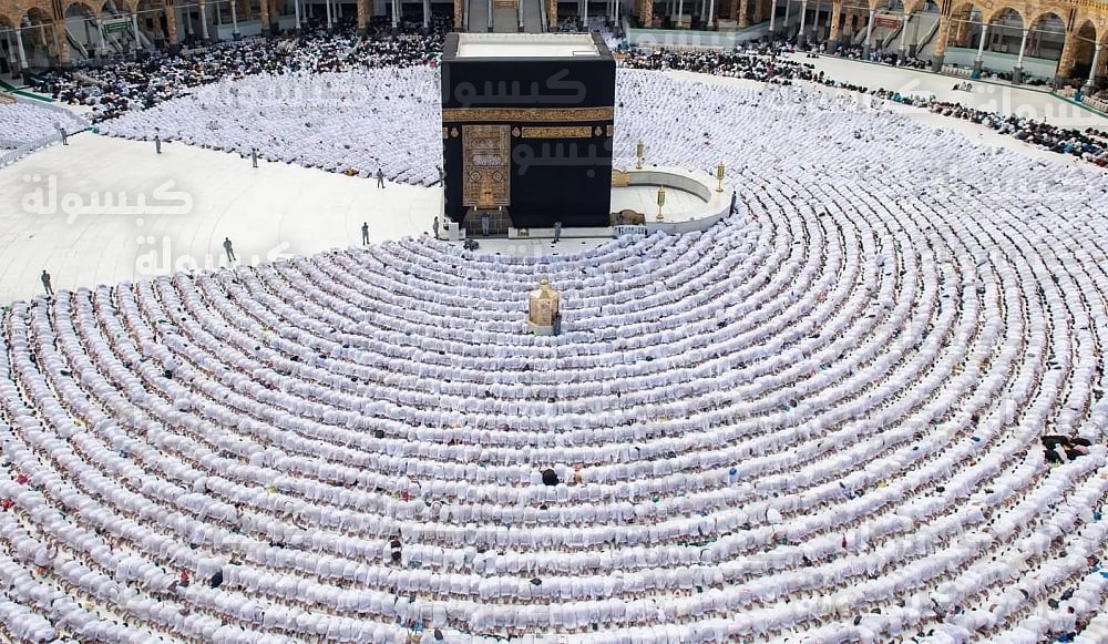 تطوع المسجد النبوي رمضان 2026