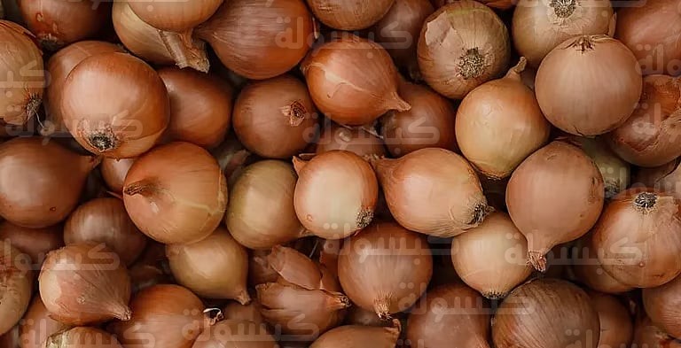 تحذيرات طبية حول تناول البصل 2026