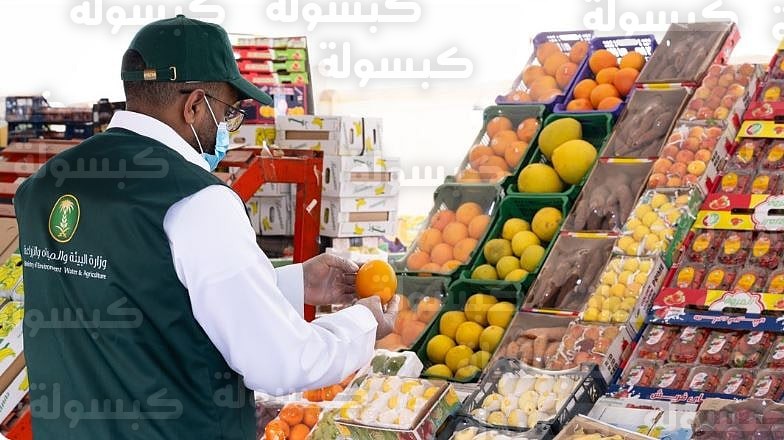 حملة وزارة البيئة للرقابة على الأسواق والمسالخ رمضان 2026