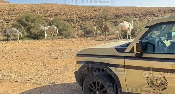 ضبط مخالفة بيئية في محمية الملك عبدالعزيز 2026