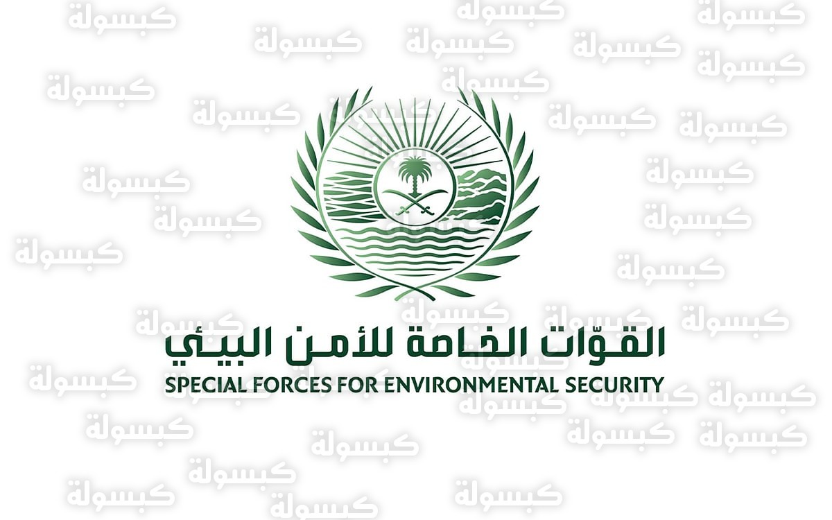 ضبط مخالف لنظام البيئة في تبوك 2026