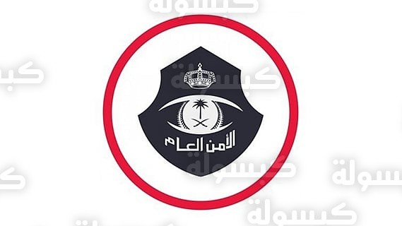 تحذير الأمن العام بشأن تأشيرات الدخول لعام 2026