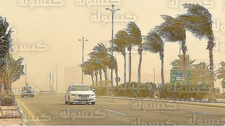 تنبيه المركز الوطني للأرصاد السعودية اليوم 14 فبراير 2026