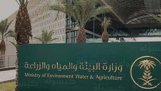 بزيادة 1300% في الطلبات.. برنامج “حافظ” يحقق طفرة في الرقابة المائية ويقلص زمن الاستجابة للبلاغات لـ 12 ساعة فقط