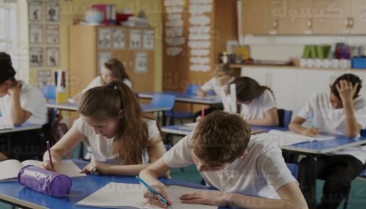 نتائج أبناؤنا في الخارج 2026 الترم الأول اليوم الأربعاء 11 فبراير: رابط وخطوات الاستعلام الرسمية عبر المنصة الموحدة