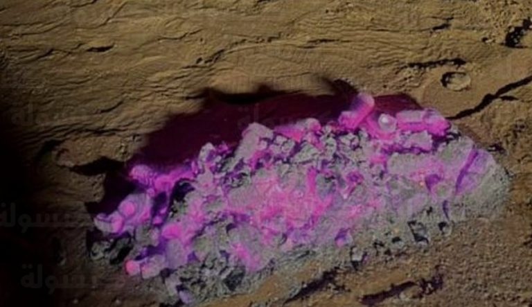 غرامة إشعال النار في المتنزهات والمحميات الطبيعية 2026: الأمن البيئي يضبط مخالفاً في محمية طويق