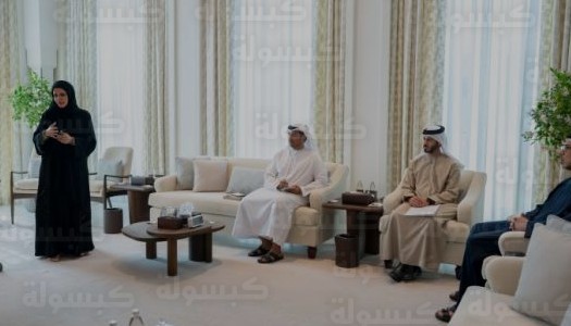 قرار رسمي بتنظيم استخدام اسم وصور الشيخ زايد ضمن الاستراتيجية الجديدة لمكتب المؤسس 2026