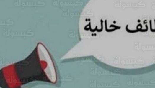 وظائف وزارة الري 2026 للموظفين : التخصصات المطلوبة وخطوات التقديم للعمل بالعاصمة الإدارية