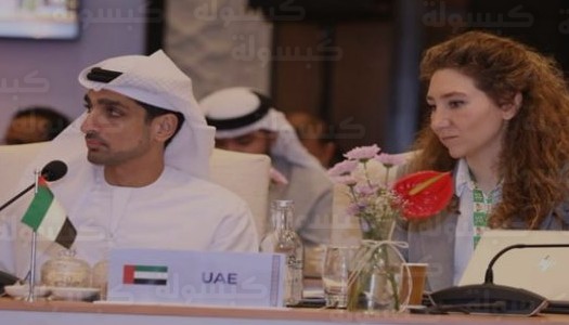 مشاركة إماراتية فاعلة في ختام اجتماع شيربا بريكس 2026 بنيودلهي لرسم مستقبل التعاون الاقتصادي العالمي