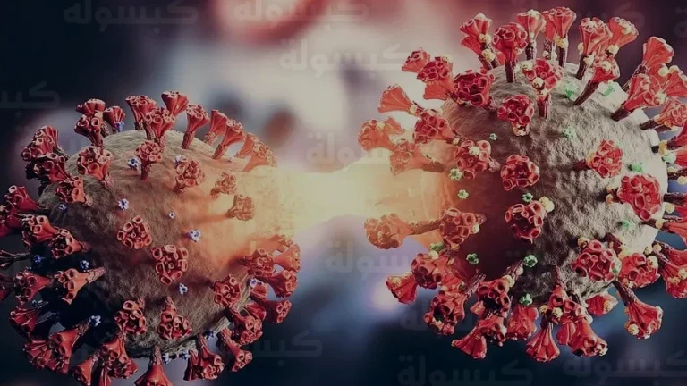 رغم تصنيفه كمرض قاتل.. الصحة العالمية تطمئن العالم وتكشف مستجدات تفشي فيروس نيباه في عام 2026