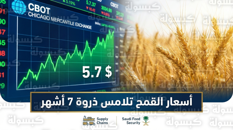 أسعار القمح العالمي تسجل أعلى مستوى منذ 7 أشهر وتصل لـ 5.7 دولار للبوشل وسط مخاوف تراجع الإمدادات