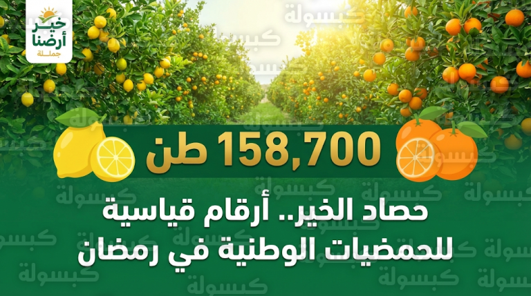 إنتاج الحمضيات في السعودية يتجاوز 158 ألف طن لتعزيز الاستدامة الغذائية في شهر رمضان 1447