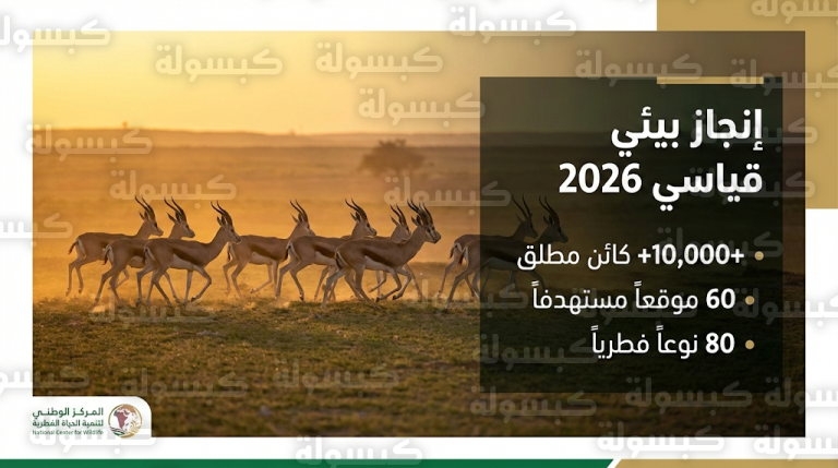 إنجاز قياسي للمركز الوطني لتنمية الحياة الفطرية بإطلاق 10 آلاف كائن مهدد بالانقراض في 60 موقعاً بالمملكة