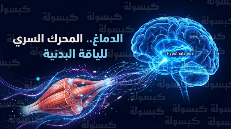 اكتشاف علمي يثبت أن الدماغ هو القائد الخفي للياقة البدنية وليس الجهاز العضلي وحده