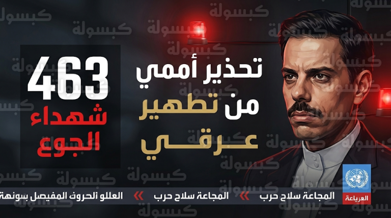 الأمم المتحدة تحذر من تطهير عرقي للفلسطينيين وتوثق استشهاد 463 شخصاً بسبب التجويع المتعمد في غزة