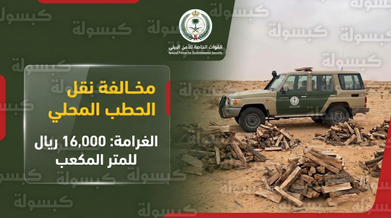الأمن البيئي يضبط مواطناً في الرياض بحوزته حطب محلي ويغرمه 32 ألف ريال