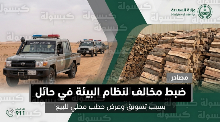 الإدارة العامة للمجاهدين بحائل تضبط مواطناً خالف نظام البيئة بعرض حطب محلي للبيع