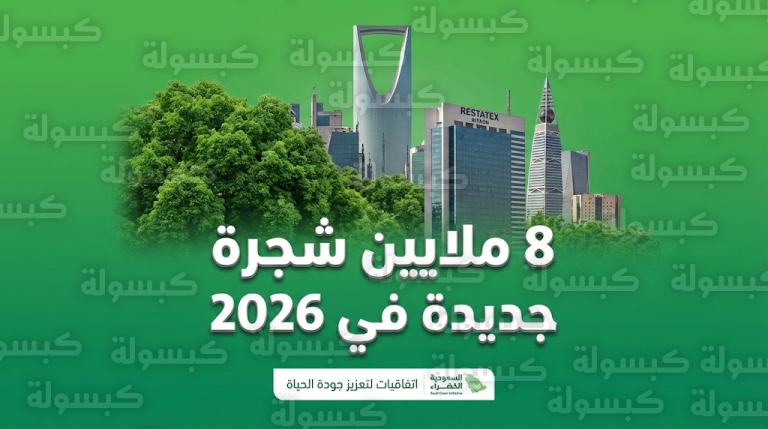 البرنامج الوطني للتشجير يطلق مرحلة زراعة 8 ملايين شجرة بمختلف مناطق المملكة بالتعاون مع كبرى الشركات العقارية
