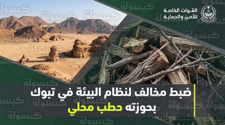 القوات الخاصة للأمن والحماية في تبوك تضبط مواطناً خالف الأنظمة البيئية بحيازة حطب محلي