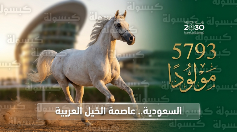 المملكة تتربع على عرش الخيل العربية وتتحول إلى صناعة مليارية عابرة للقارات في فبراير 2026