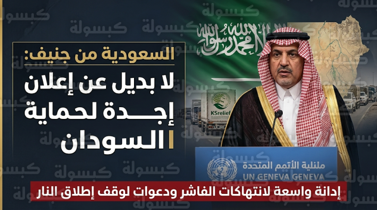 المملكة تدين انتهاكات قوات الدعم السريع في الفاشر وتطالب بوقف فوري للعمليات العسكرية للحفاظ على وحدة السودان