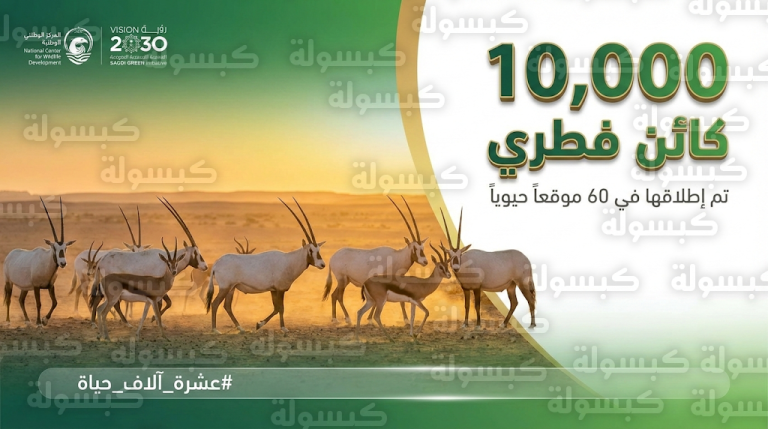 تحديث رسمي.. “الحياة الفطرية” تعلن استعادة التوازن البيئي في 60 موقعاً وإطلاق 10 آلاف كائن فطري